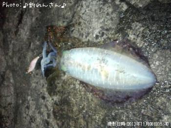 屨±