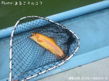 不明
