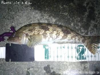 アイナメ