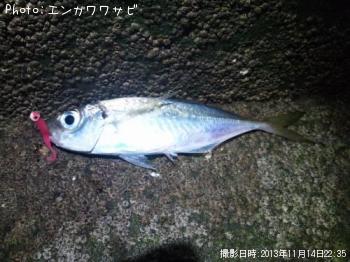 アジ