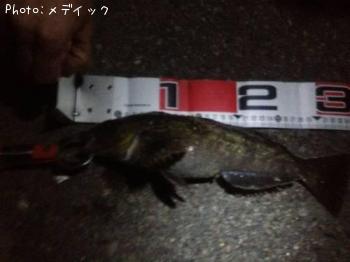 ʥ