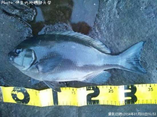 �����᥸��