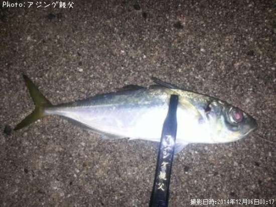 アジ
