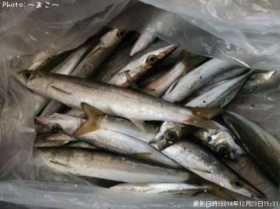 ���ޥ����äѤ���������