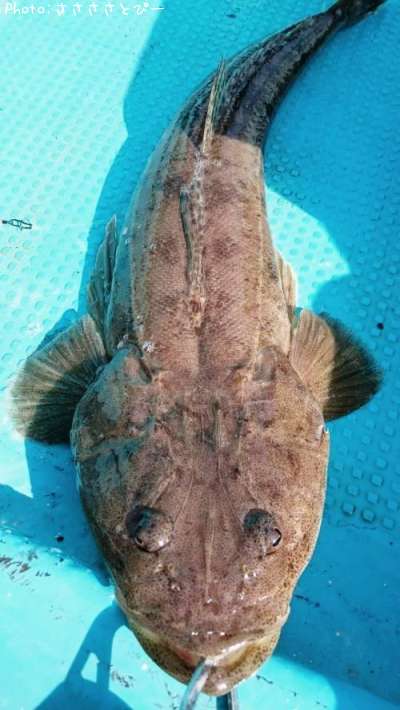 �ޥ������ե�å�