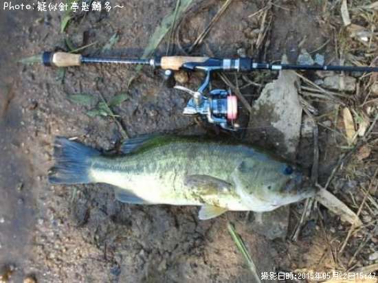 奈良県でブラックバスが釣れるポイントはどこ 釣れるシーズンやルアー釣り情報や釣果発信中 即戦力釣り情報