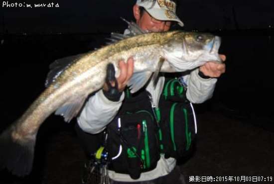 福島県でシーバスが釣れるポイントはどこ 釣れるシーズンやルアー釣り情報や釣果発信中 即戦力釣り情報
