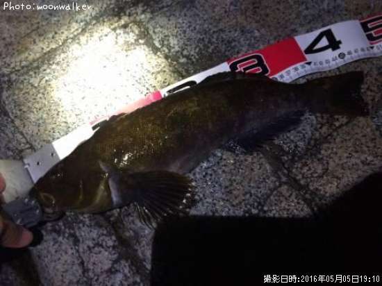 �����ʥ�