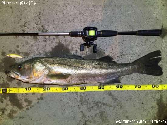 福井県でシーバスが釣れるポイントはどこ 釣れるシーズンやルアー釣り情報や釣果発信中 即戦力釣り情報