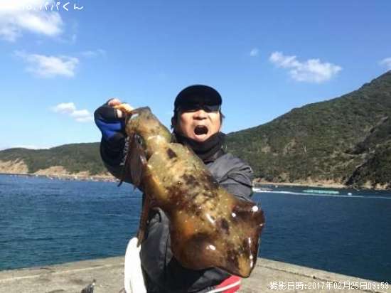 アオリイカ1150g 釣果情報 高知県幡多郡大月町 17年2月25日9時 パパくん 即戦力釣り情報