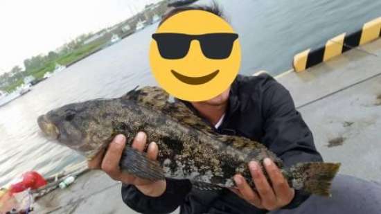 苫小牧 釣り 情報