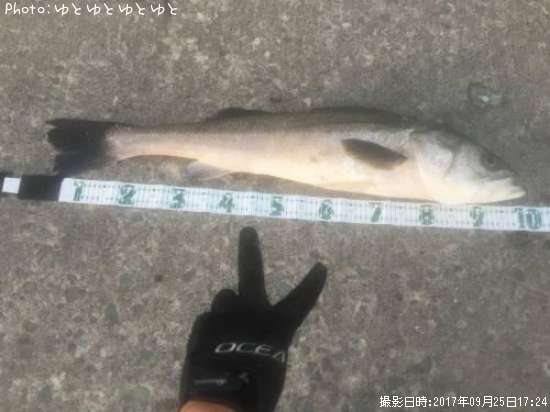 ブログ 青森 釣り 釣りキチ大平の釣りバカ日誌in青森