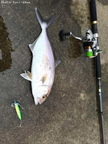 ショゴ釣果 ポイント宮城県山元町 18年9月9日5時48分 Turi Senn 即戦力釣り情報