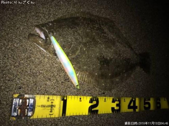 ヒラメ52cm 釣果情報 宮城県七北田川 免許センター裏 18年11月13日4時 りんごくん 即戦力釣り情報