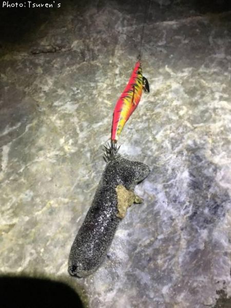 知りたい 沖縄県のナマコ釣り情報を発信中 ポイントからシーズンやルアーまで釣果情報 即戦力釣り情報 知りたい 沖縄県のナマコ釣り情報を発信中 ポイントからシーズンやルアーまで釣果情報 即戦力釣り情報