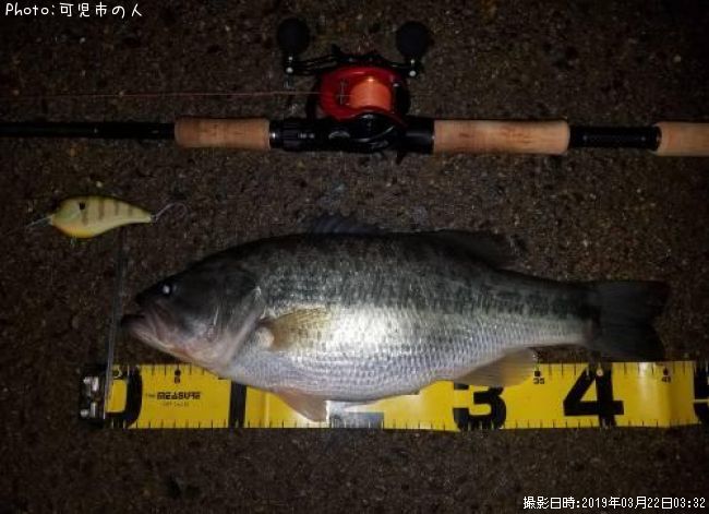 ブラックバス45cm 釣果情報 愛知県犬山市 19年3月22日3時 可児市の人 即戦力釣り情報 ブラックバス45cm 釣果情報 愛知県犬山市 19年3月22日3時 可児市の人 即戦力釣り情報