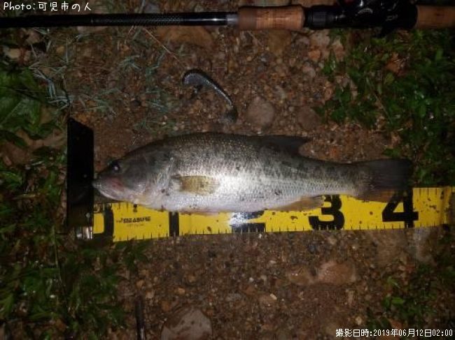 ブラックバス41cm 釣果情報 愛知県犬山市 19年6月12日2時 可児市の人 即戦力釣り情報 ブラックバス41cm 釣果情報 愛知県犬山市 19年6月12日2時 可児市の人 即戦力釣り情報