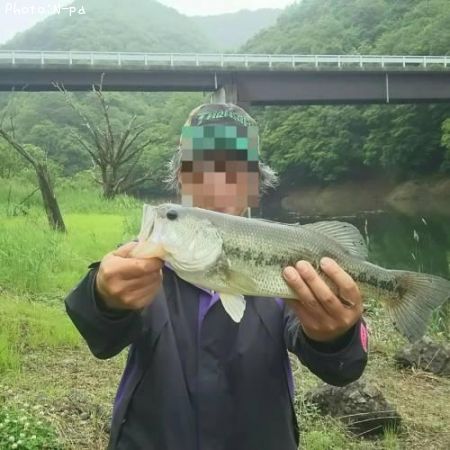 ブラックバス40cm 釣果情報 岩手県石鳥谷 19年6月30日13時 N Pa 即戦力釣り情報