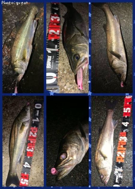 �����Х�