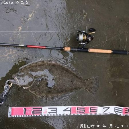 ヒラメ釣果 ポイント宮城県宮城防波堤 19年10月6日9時0分 クロス 即戦力釣り情報
