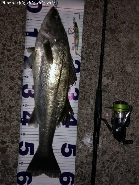 シーバス60cm 釣果情報 青森県平内 年5月7日22時 ゆとゆとゆとゆと 即戦力釣り情報 シーバス60cm 釣果情報 青森県平内 年5月7日22時 ゆとゆとゆとゆと 即戦力釣り情報