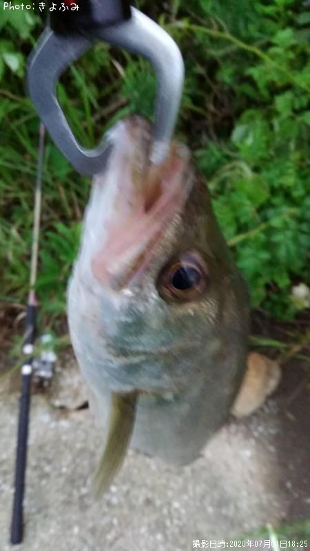 �����Х�