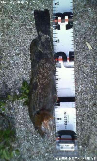 �����ʥ�