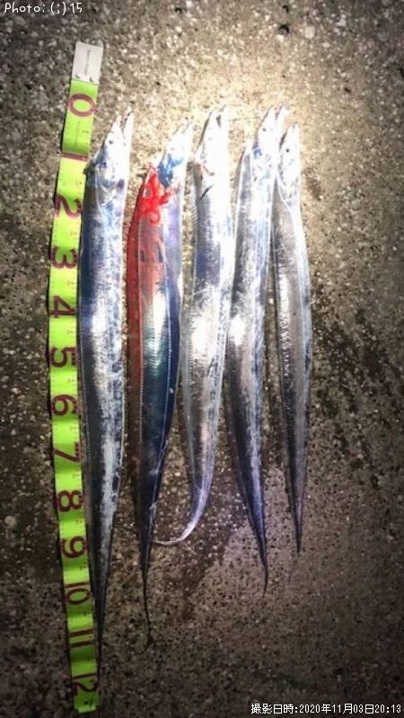 千葉県でタチウオが釣れるポイントはどこ 釣れるシーズンやルアー釣り情報や釣果発信中 即戦力釣り情報
