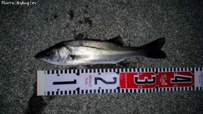 �����Х�