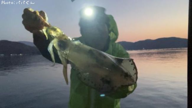 �����ꥤ��