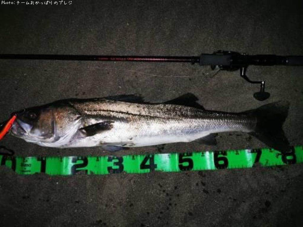 �����Х�