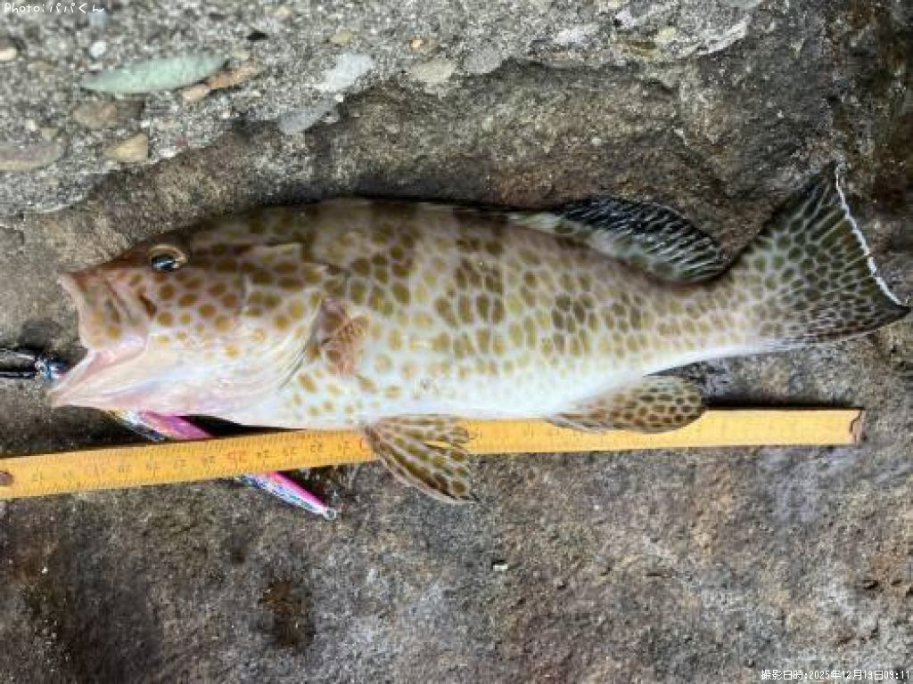 �������ϥ�