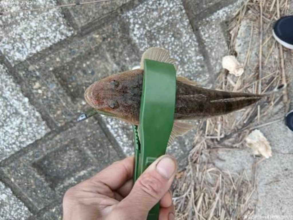 �ޥ���