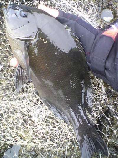 �����᥸��