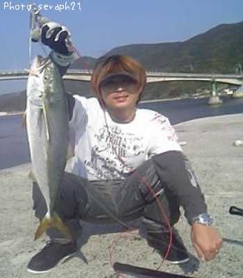 日本全国でハマチが釣れるポイントはどこ 釣れるシーズンやルアー釣り情報や釣果発信中 即戦力釣り情報