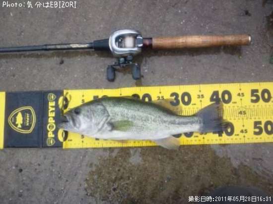 �֥�å��Х�