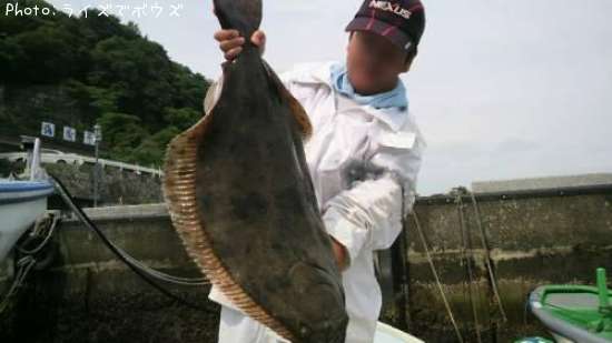 日本全国でヒラメが釣れるポイントはどこ 釣れるシーズンやルアー釣り情報や釣果発信中 即戦力釣り情報