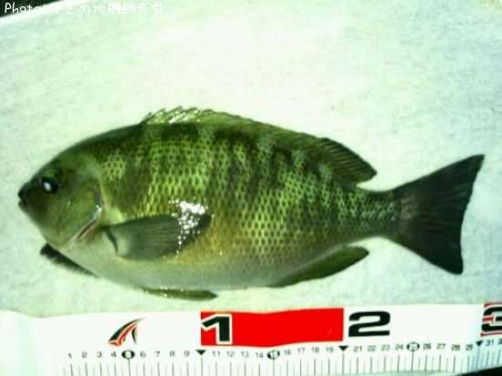 �����᥸��