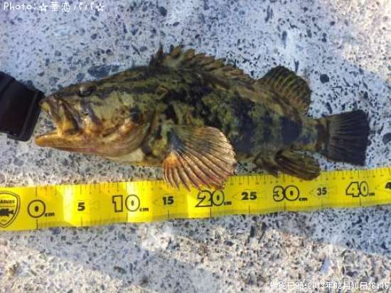 �٥å�������