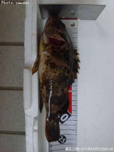 �����ʥᡦ�����Υ���Х�