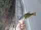 �֥�å��Х�
