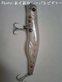 ナイトレイド120F 16
