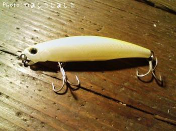 DUO Tide Minnow CD