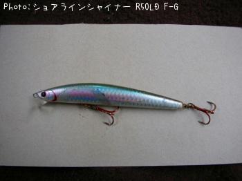 ショアラインシャイナー R50LD F-G