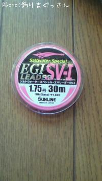 EGI LEADER SV-I