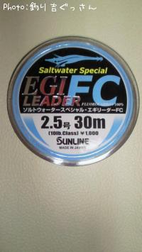 EGI LEADER FC