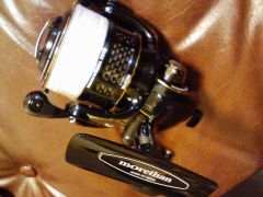 morethan BRANZINO 3000