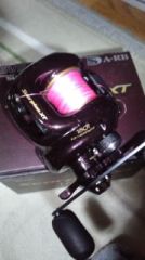 ԥXT1501