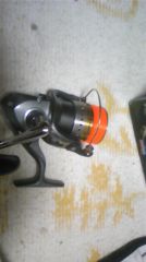 LIBERTY 2506