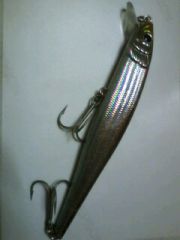 SEABASS HUNTER ·